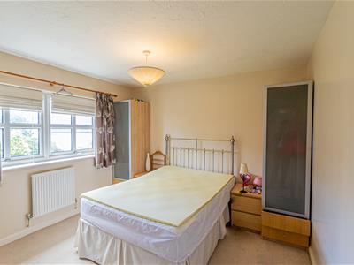 Picture 15